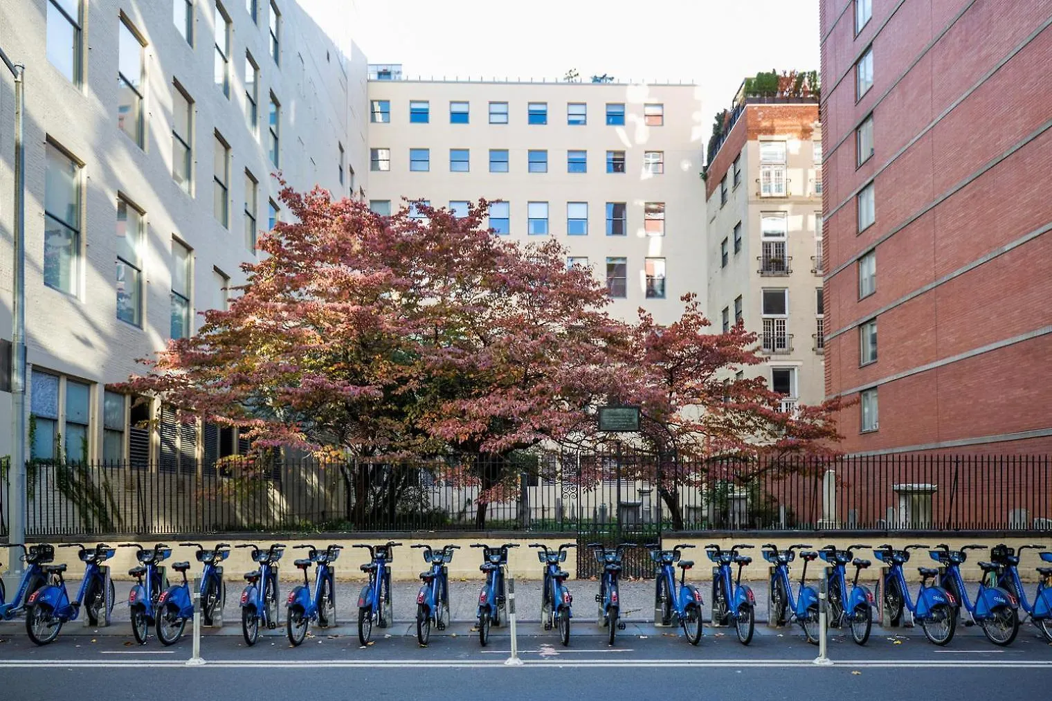 纽约Chelsea 1Br W Doorman Gym Nr High Line Nyc-1008公寓 纽约