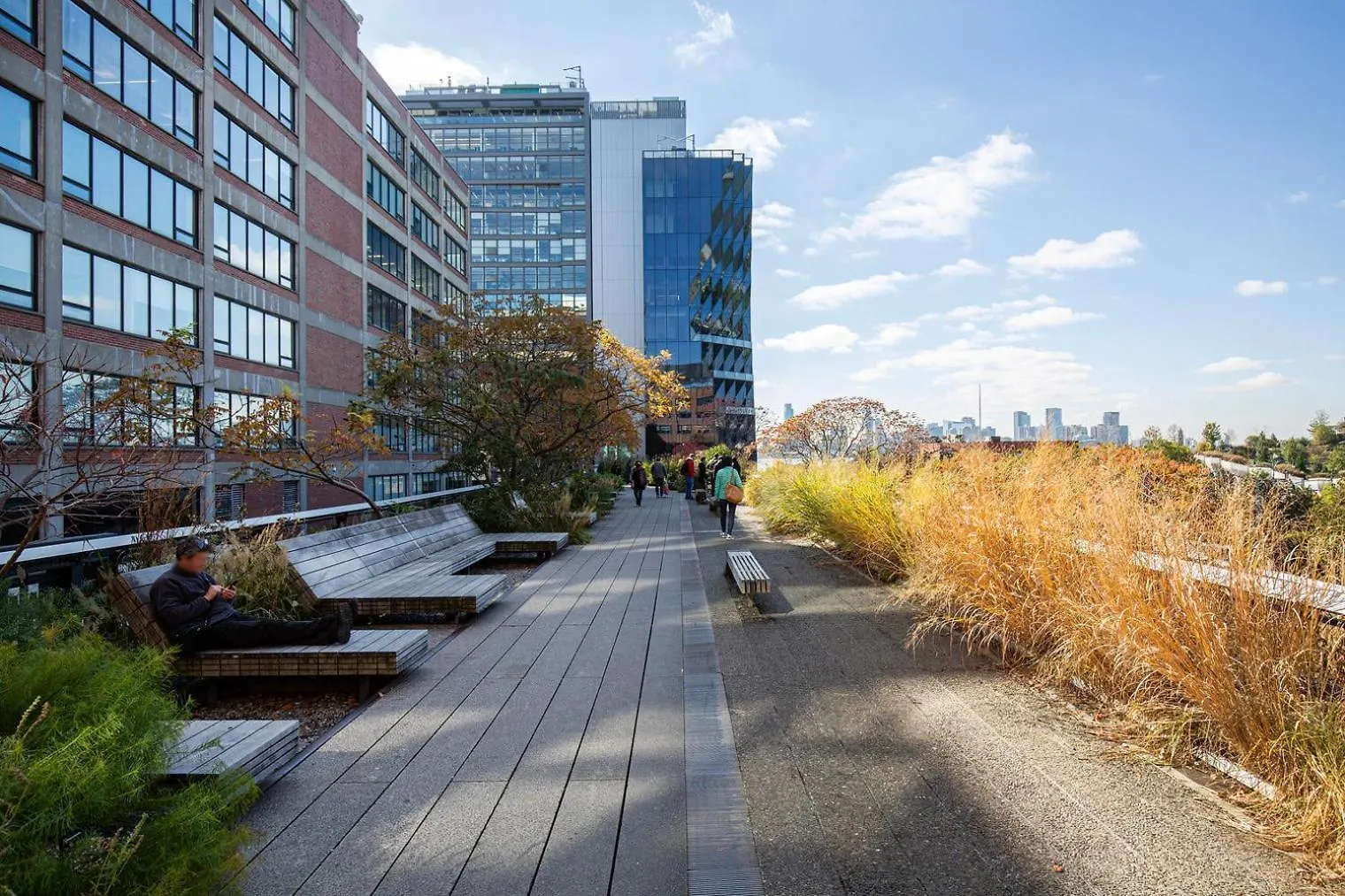 纽约Chelsea 1Br W Doorman Gym Nr High Line Nyc-1008公寓 0*, 纽约